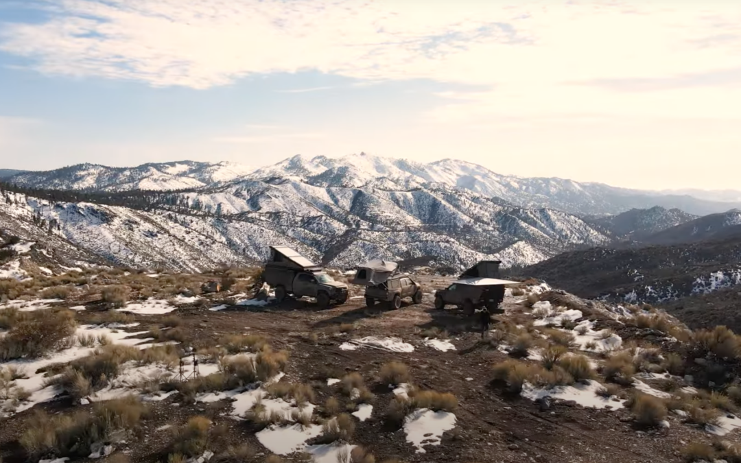 Skinny Guy Walk-Around Video from TAV