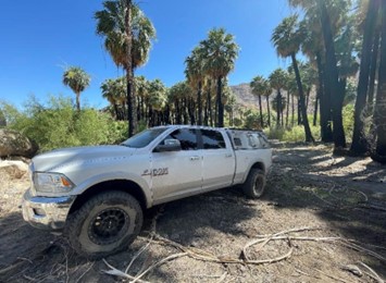 A silver pickup truck with a canopy is parked in a sunny area surrounded by tall palm trees, with mountains visible in the background. The terrain is sandy, and there are scattered dried branches on the ground—an ideal overland setup for campers looking to explore rugged landscapes.