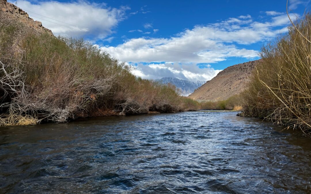 News from the Trail – June 2022 Edition