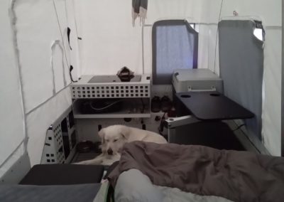 A white dog is lying inside a tent, near the back wall, as campers enjoy their setup. The interior shows padded sleeping areas, a folded-up table, and some other camping gear. There's a sleeping bag partially visible in the foreground and a jacket hangs from the ceiling.