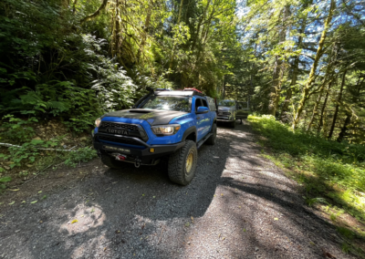 A blue Toyota Tacoma and a silver vehicle drive on a narrow, gravel forest road surrounded by dense, sunlit foliage. The trees cast dappled shadows, and the road curves through the lush greenery. The scene suggests an off-road adventure.