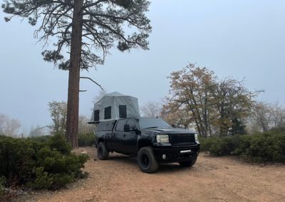 A black truck with a rooftop tent is parked on a dirt clearing surrounded by trees and shrubs. There is a large pine tree next to the truck, and it's a foggy day with limited visibility. The scene suggests an overland camping adventure enjoyed by savvy campers looking for serene spots like this.