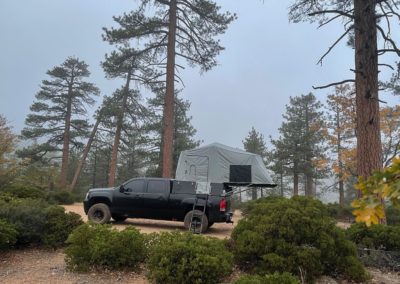 A black pickup truck with an elevated, gray rooftop tent parked in a wooded area surrounded by tall pine trees and shrubs. Campers find solace here as the sky is overcast, creating a misty atmosphere, and the ground is covered with light-colored dirt and fallen leaves.